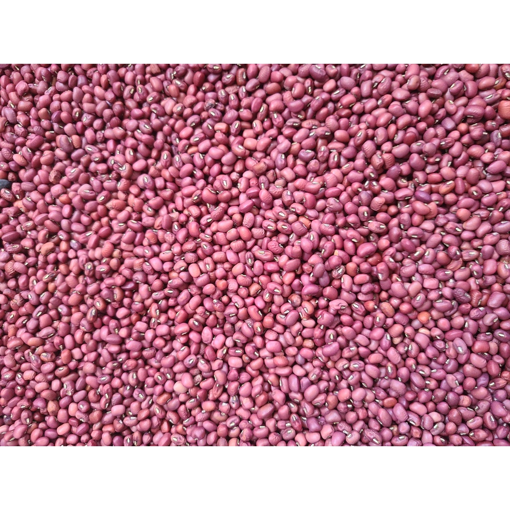 Đậu đỏ hàng Việt Nam, đẹp - bịch hút chân không 1kg