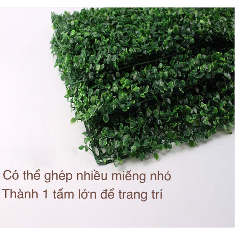 Thảm cỏ nhân tạo cải xoong 60x40cm