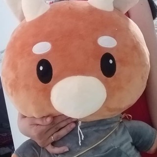 Gấu của khách