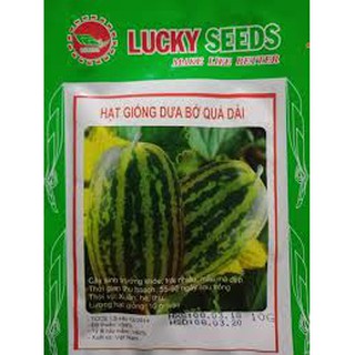 Hạt giống dưa bở quả dài (10g)