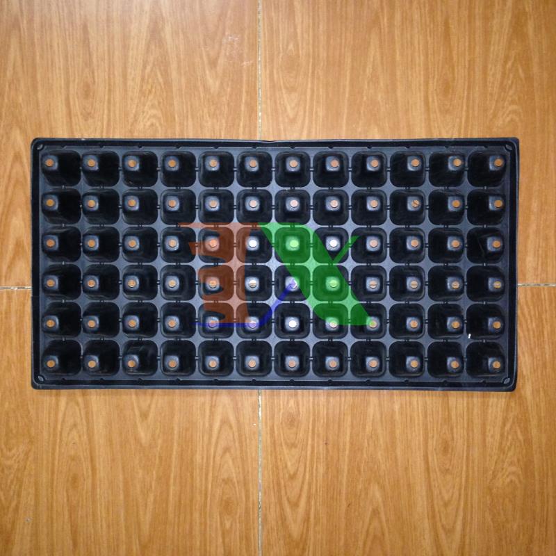 Hộp 100 Khay nhựa ươm cây 72 lỗ, Vỉ ươm hạt giống, Khay nhựa PVC ươm hạt rau hoa