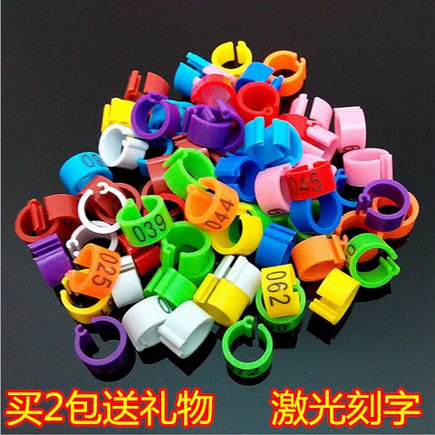 Thẻ Nhận Dạng Kỹ Thuật Số Bằng Nhựa Tùy Chỉnh Cho Chim Bồ Câu / Thịt Bồ Câu