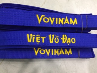 Lam đai Vovinam - Phong trào