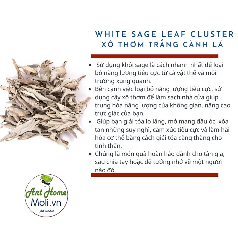 {QUÀ TẶNG} 100gr xô thơm trắng cành lá / hương thảo cành lá thanh tẩy LOẠI 1 (white sage, rosemary...)