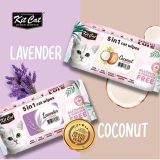 Khăn giấy ướt cho mèo KitCat