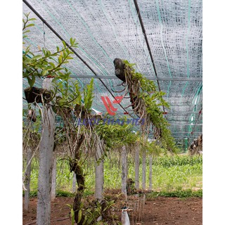 Lưới Che Nắng Khổ 2m x 5m