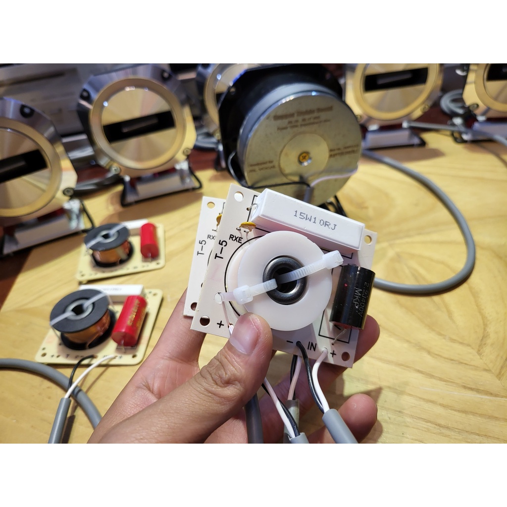 Mạch phân tần loa trép T3 và T5, Hàn sẵn dây, Giá 1 Đôi