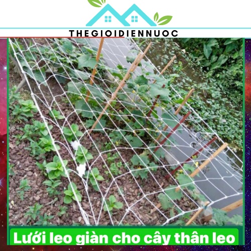 Lưới làm giàn cho cây leo khổ rộng 5m (6m nếu kéo căng), lưới cước làm vườn, sợi cước dày, bền, chịu được nắng mưa