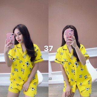 Combo sỉ bộ Pizama cộc tay
