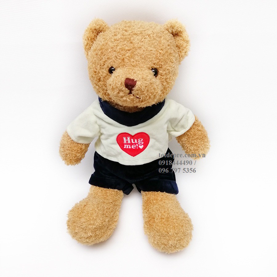 Gấu Bông Teddy Hug Me Cao 30cm