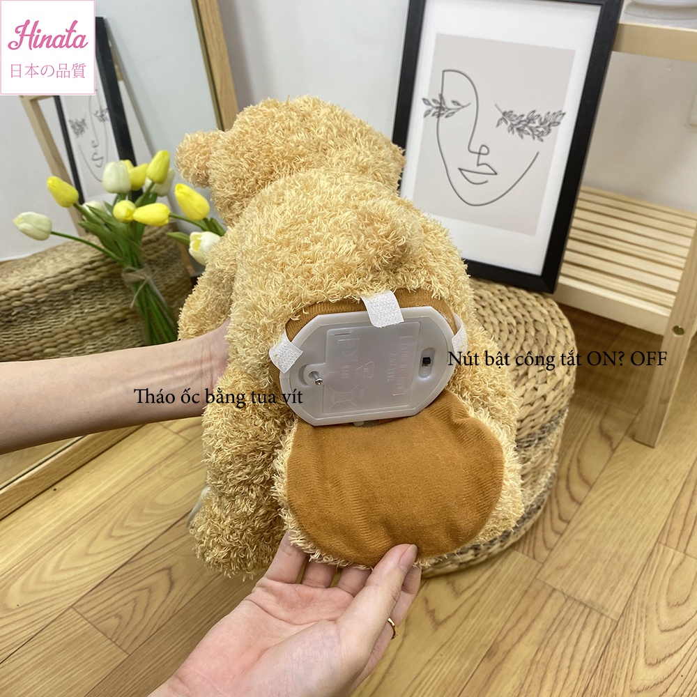 Đồ chơi gấu Peekaboo HINATA - Tiếng Anh thông minh TLEN15