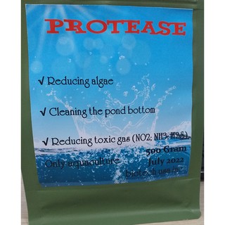 Vi sinh protease (Mỹ) cắt tảo lam, tảo đỏ, sạch đáy, sạch bạt, sạch nhớt, khử khí độc (gói 500gram)