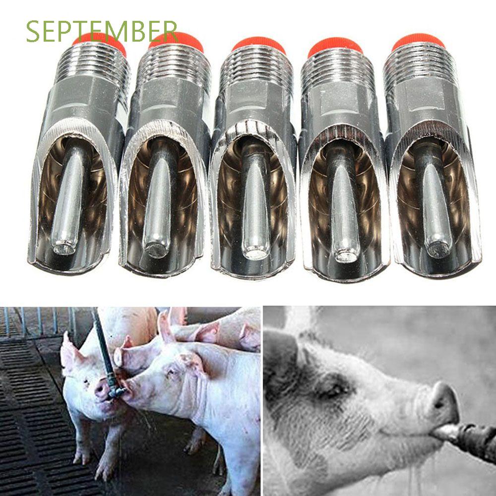 SEPTEMBER 1Pcs Practice Pig Nipple Automatic Waterer Brand New Animal Water Feeder Supply Sheep Drinker Portable Stainless Steel Useful Farm Equipment Farm Garden Thickening Drinking Instrument/Multicolor