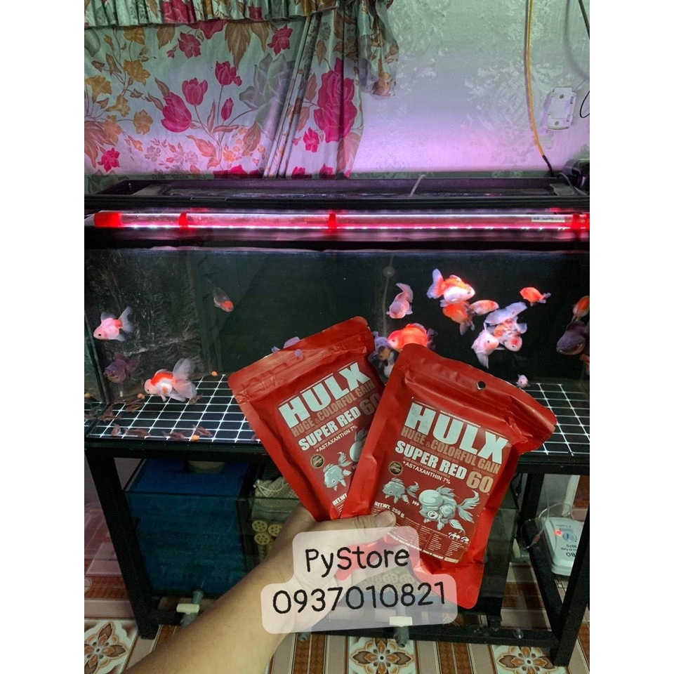 CÁM CÁ GOLDFISH SIÊU CAO CẤP HULX SIÊU ĐẠM SIÊU TĂNG TRƯỞNG