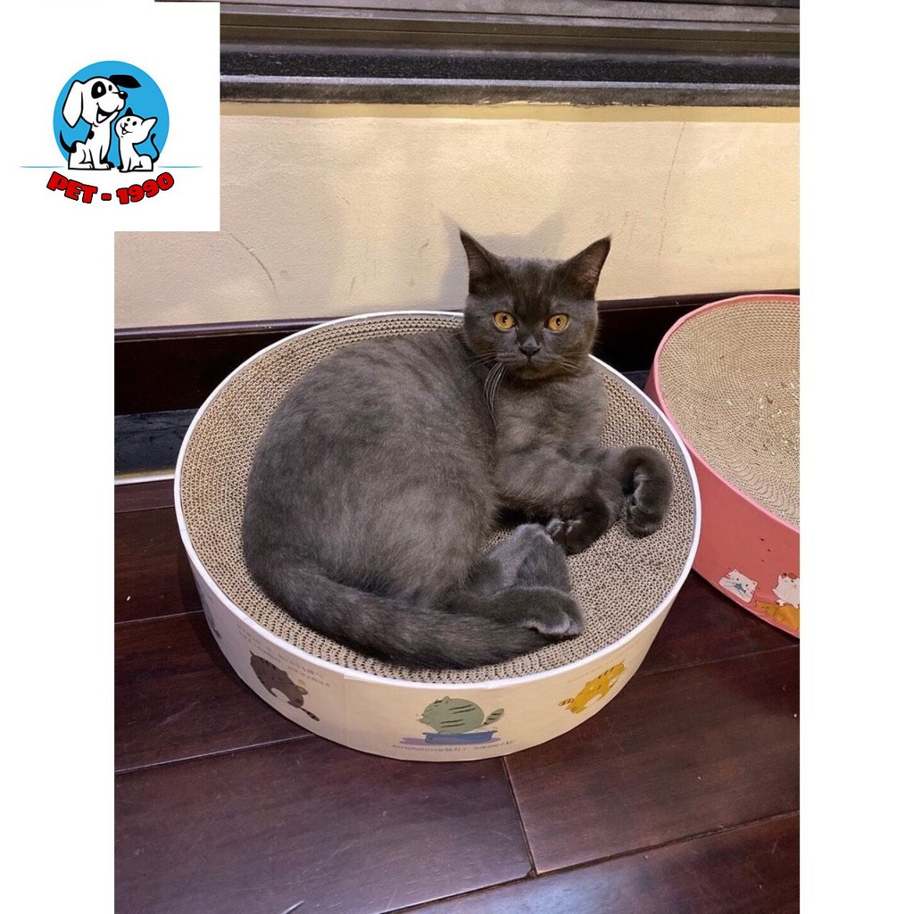 Bàn Cào Móng Hình Tròn - Ổ Nằm Cho Mèo (tặng 1 gói catnip giúp mèo thư giãn)