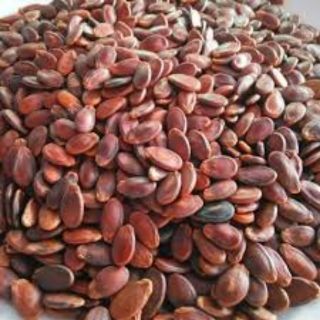 Hạt dưa k tẩm màu loại 1