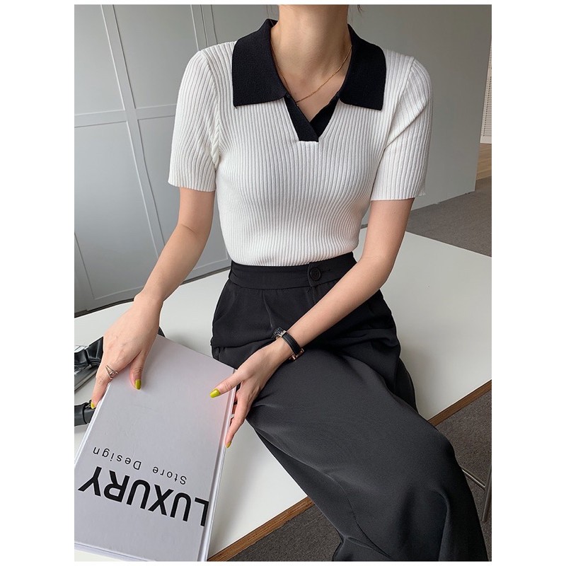 [CÓ SẴN] Áo Polo Tee thun tăm tay ngắn Quảng Châu | BigBuy360 - bigbuy360.vn