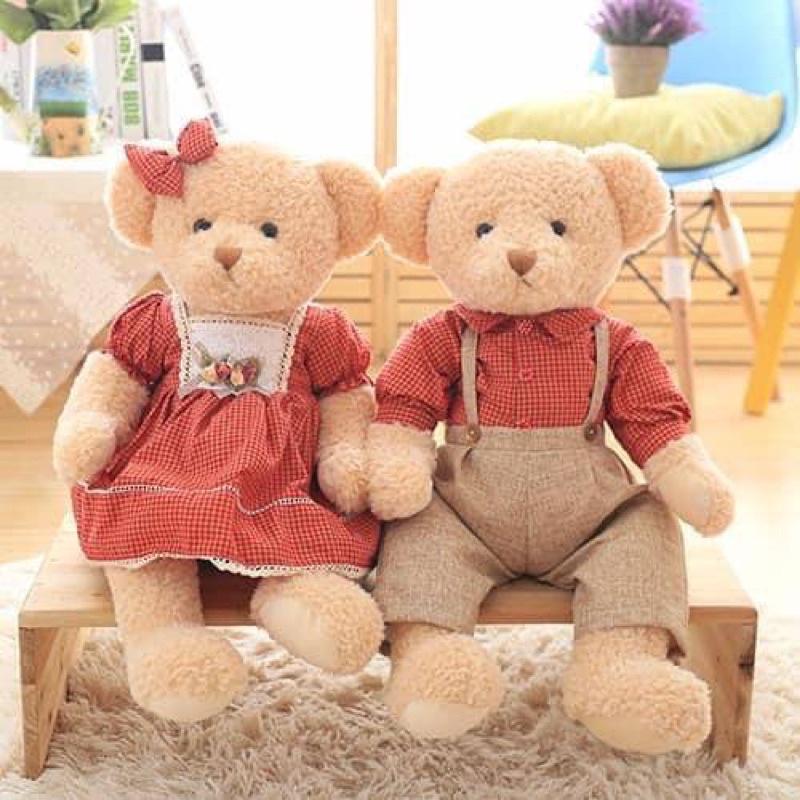 Cặp đội gấu bông Teddy 65cm hít nam châm tay- Thú nhồi bông Teddy mềm mịn đáng iu tại Nguyên  Gia group Cao Đạt quận 5