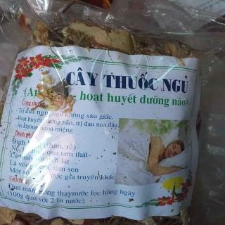 CÂY THUỐC NGỦ LAI CHÂU