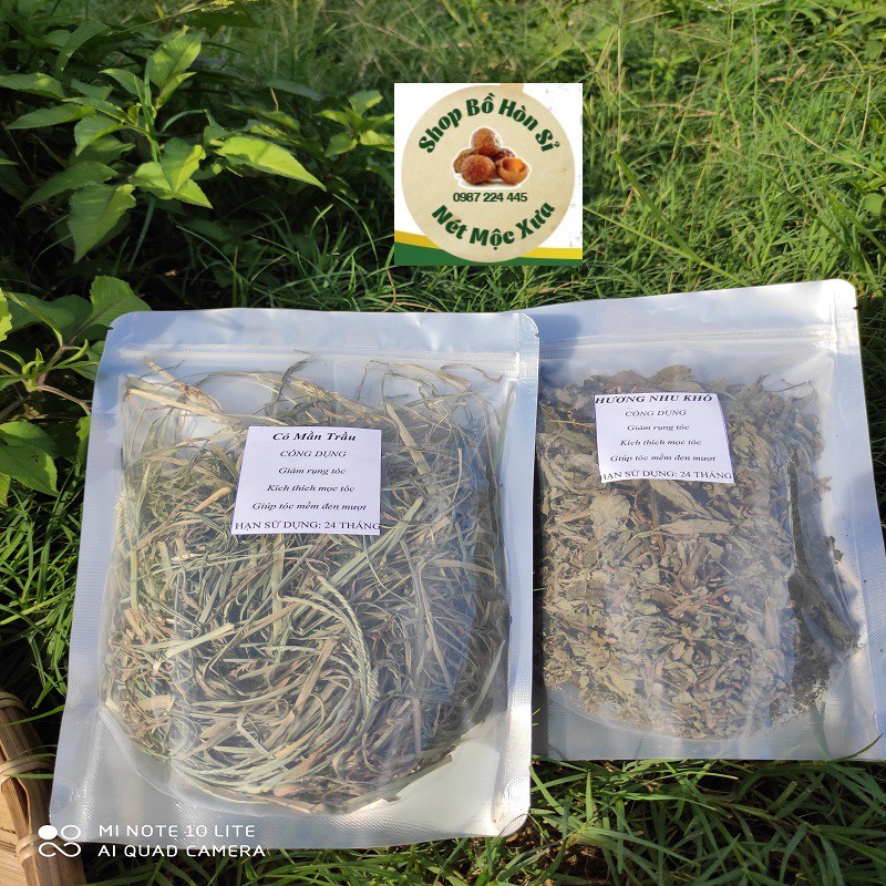 HƯƠNG NHU KHÔ (HÀNG TỰ NHIÊN ) 100 Gam