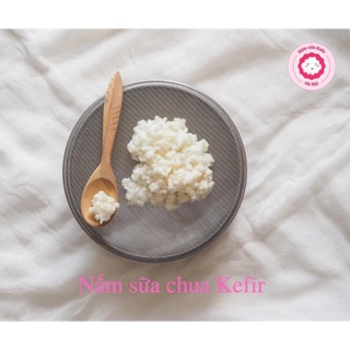 Combo nấm sữa kefi cho khách