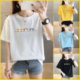 Áo thun tay lỡ nữ form rộng freesize họa tiết 3 chú mèo dễ thương  phong cách hàn quốc dưới 75kg