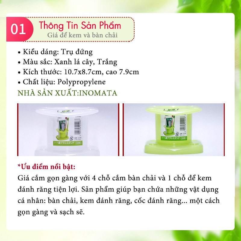 Giá để kem và bàn chải đánh răng màu xanh/ trắng (hàng nhập khẩu Nhật Bản)