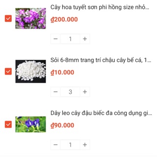 Combo 1 tuyết Sơn phi Hồng 100, 1 đậu biếc,1 cát đằng,1 mai hoàng Yến,3kg sỏi,