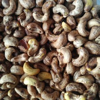 hạt điều rang muối bình phước
