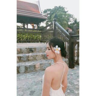 Hoa đai cài tóc