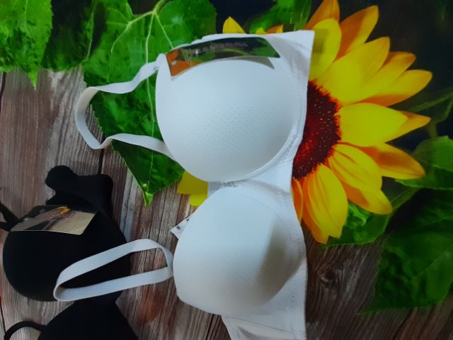 Áo lót cúp ngang_thông hơi_mẫu áo lá học sinh