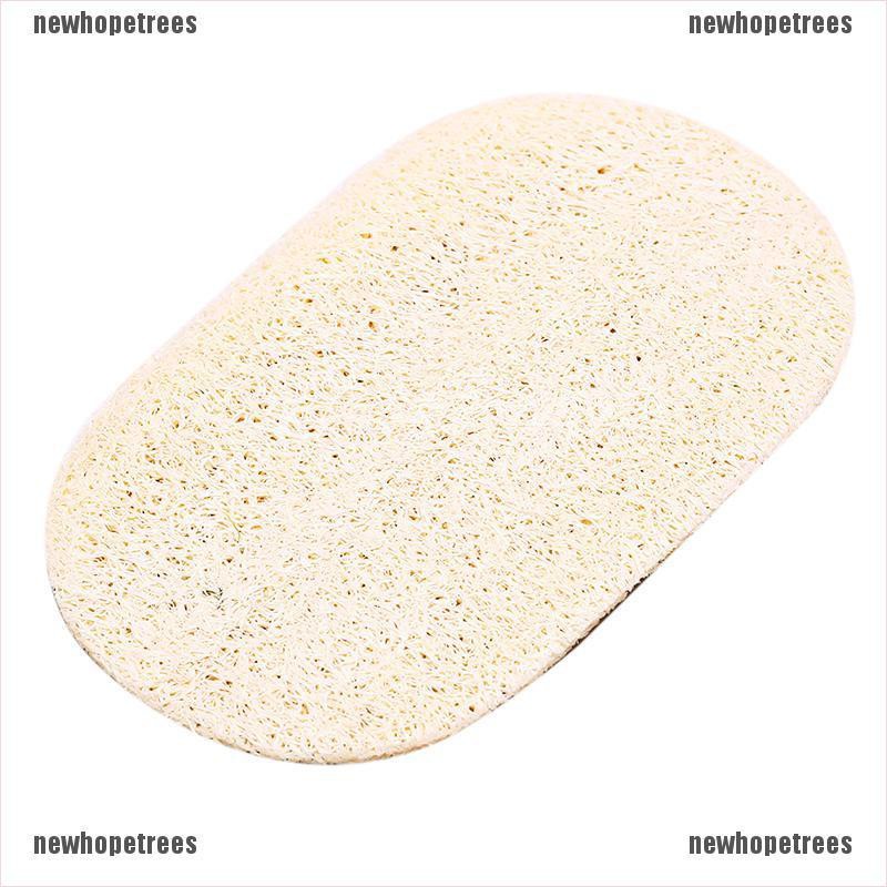 Xơ Mướp Rửa Chén Thấm Hút Dầu Tiện Lợi