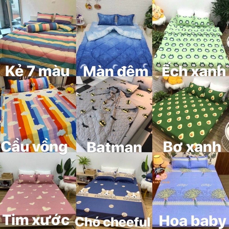 Bộ 1 Ga chun và 2 vỏ gối Cotton poly, chat chọn mẫu.