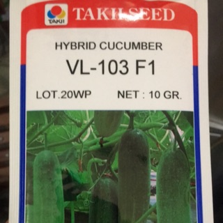 HẠT GIỐNG DƯA LEO VL-103 F1