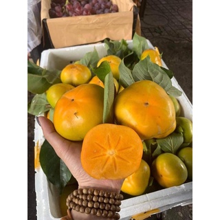 Giao hcm hỏa tốc hồng giòn ngọt giòn sần sật 1kg