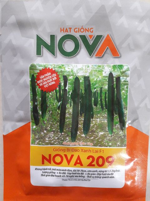 Hạt giống bí xanh Nova 209 10gram