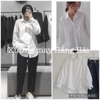 Áo sơ mi nữ dài tay TRƠN Basic Unisex Dáng Rộng Màu Trắng❣️ Kiểu áo sơ mi nữ tay dài công sở❣️Thoáng Mát❣️ Mềm Mịn