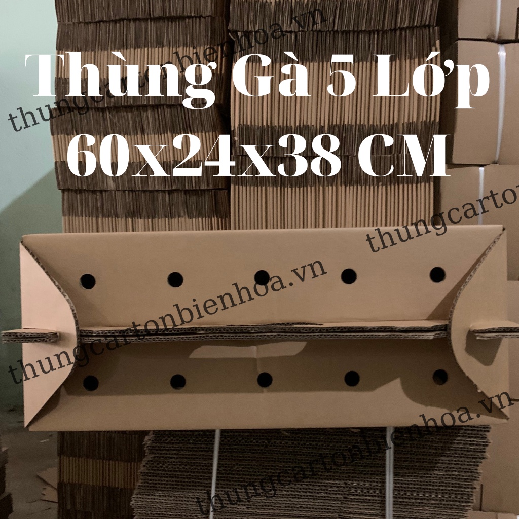 Thùng Carton 5 Lớp Đựng Gà Đá - Gà Tre 60x24x38 CM