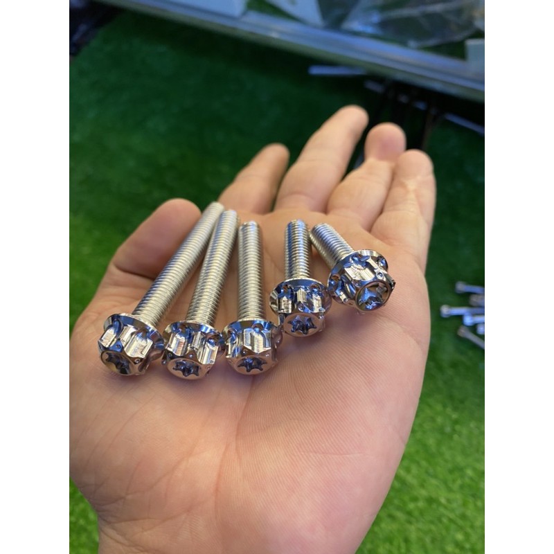 Ốc salaya các size thông dụng