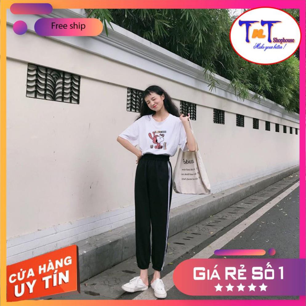 [GIÁ GỐC] S10 Set Đồ Thể Thao Năng Động Unisex Quần Jogger Phối Thun Unisex Gấu Tai Dày Có Big Size