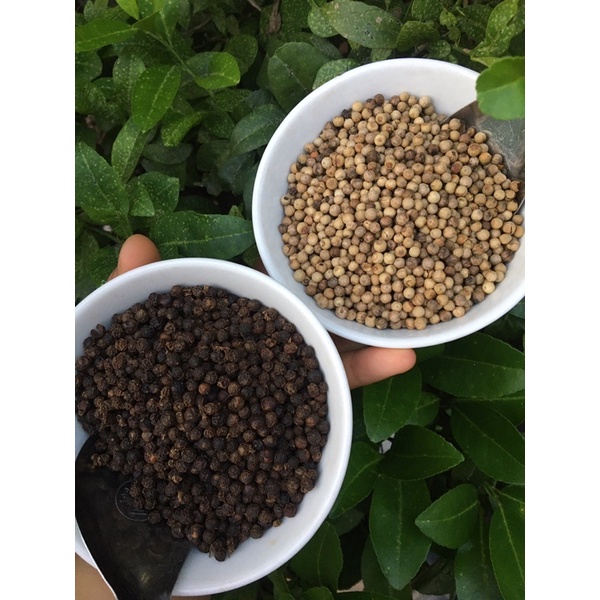 Tiêu hột sọ trắng, đen loại thượng hạng gói 100g Đắc lăk chuẩn