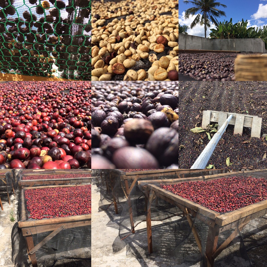 [Mã 156FMCGSALE hoàn 8% đơn 500K] Combo 1Kg Cà Phê Nguyên Chất Chậm Coffee (Kèm phin) | BigBuy360 - bigbuy360.vn