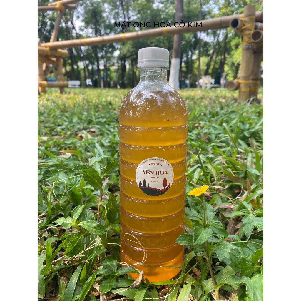 Mật ong hoa Cỏ Kim(Xuyến chi) 1 lít – 500ml nguyên chất từ DakLak | BigBuy360 - bigbuy360.vn