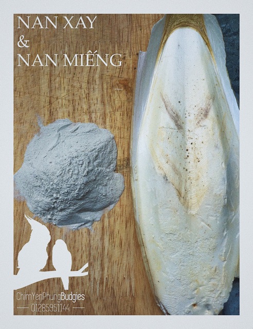 Nan mực • Mai mực nguyên miếng (bán theo size) đa công dụng.