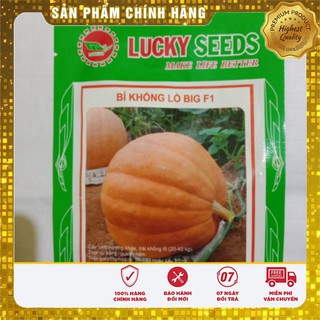 Hạt Giống Bí Ngô Khổng Lồ-5 hạt