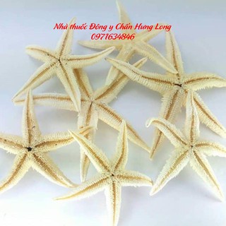 Sao Biển ngâm rượu 1 con