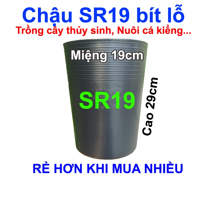 Chậu Nhựa Đen Sr19 Bít Lỗ Nuôi Cá, Trồng Cây Thủy Sinh (Miệng 19 X Cao 29Cm)