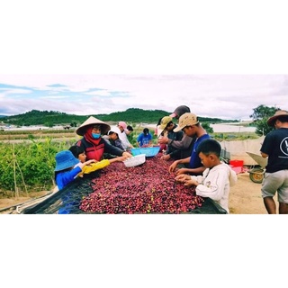 Coffee BLEND 500gram