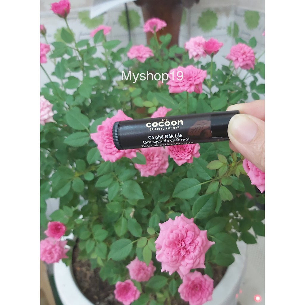 Tẩy tế bào chết môi Cà phê đắk lắk 5g. | BigBuy360 - bigbuy360.vn