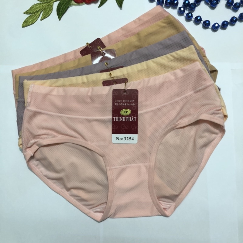Set 5 Quần lót nữ Thịnh Phát lưng cao thông hơi, quần chíp nữ thun lạnh chất mền đẹp